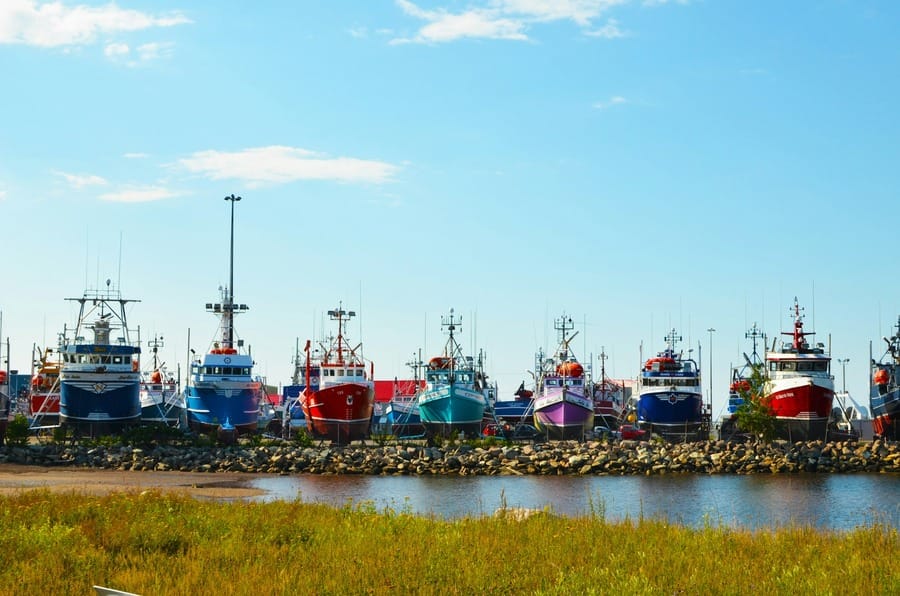 Vase de pescuit într-un port